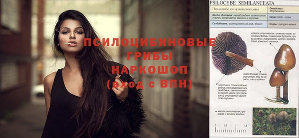 mix Абинск