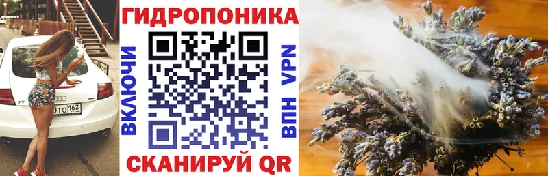 KRAKEN как зайти  Россошь  Марихуана Amnesia  что такое наркотик 